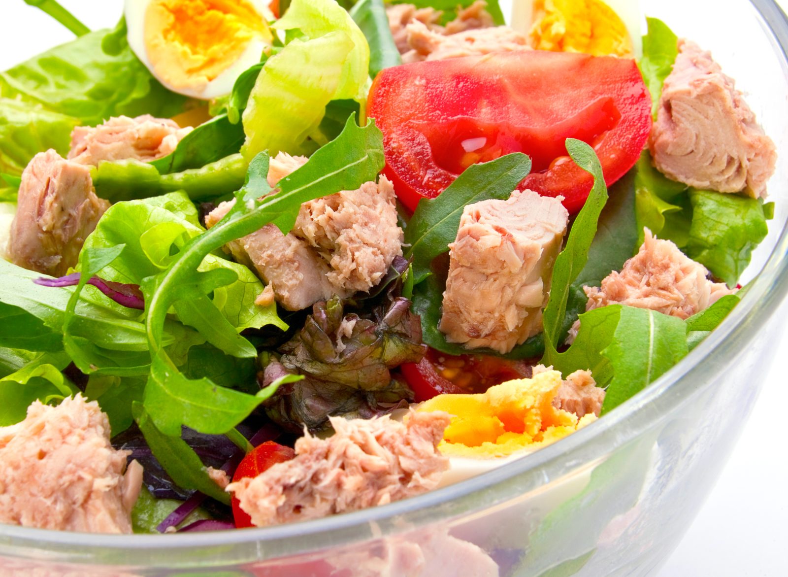 Bread, Tomato and Tuna Salad — prepared dish